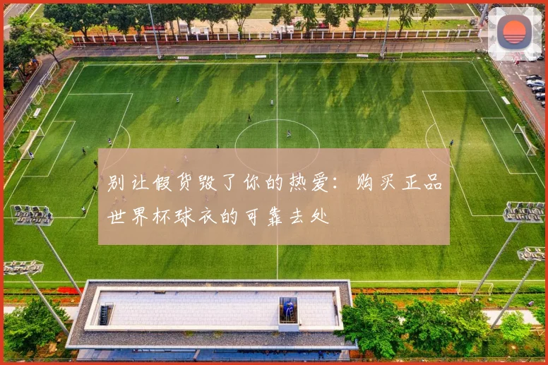 别让假货毁了你的热爱：购买正品世界杯球衣的可靠去处