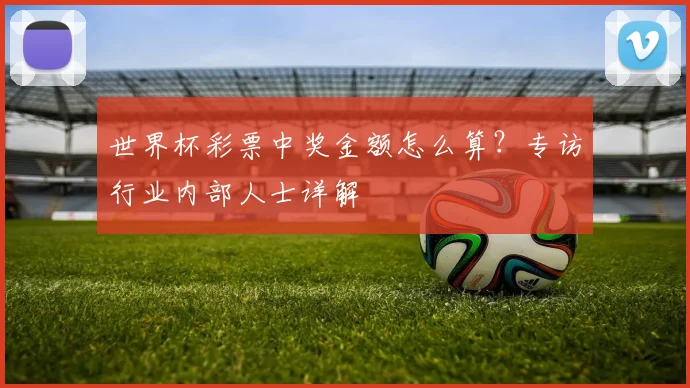 世界杯彩票中奖金额怎么算？专访行业内部人士详解