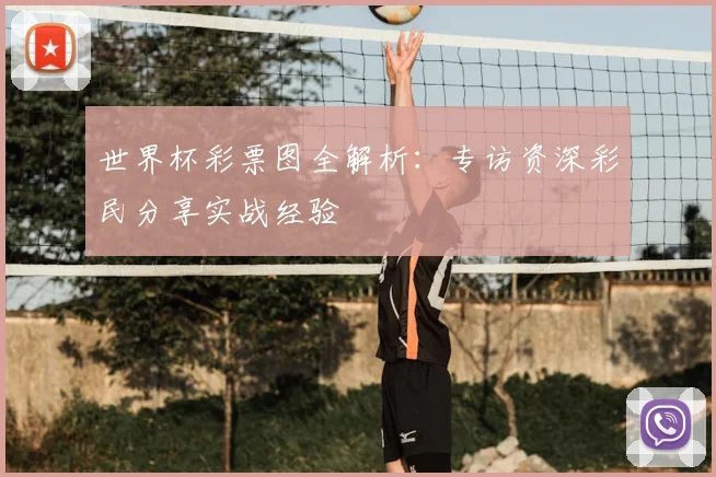 世界杯彩票图全解析：专访资深彩民分享实战经验