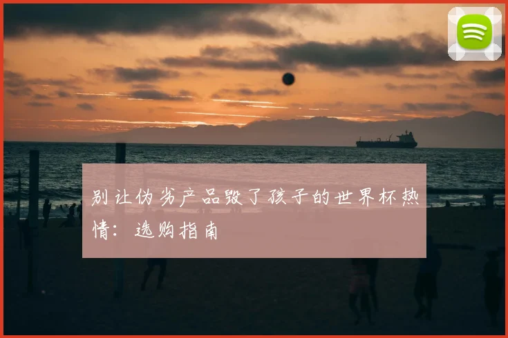 别让伪劣产品毁了孩子的世界杯热情：选购指南