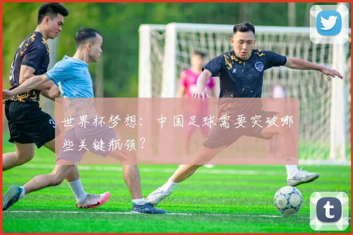 世界杯梦想：中国足球需要突破哪些关键瓶颈？