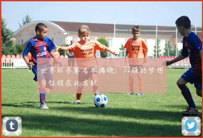 世界杯参赛名单揭晓：32强的梦想与征程在此启航