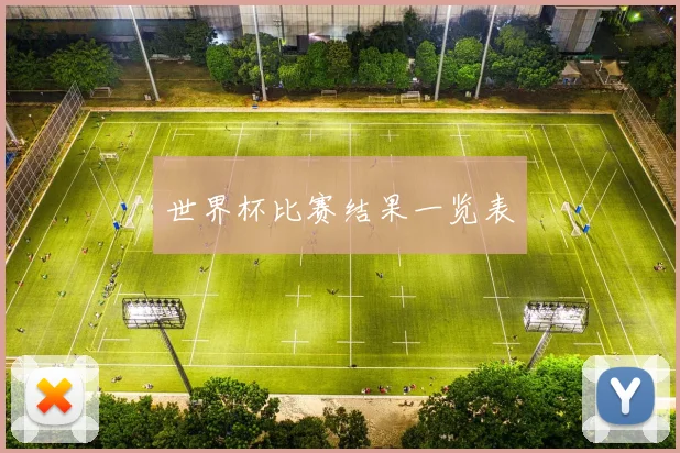 世界杯比赛结果一览表