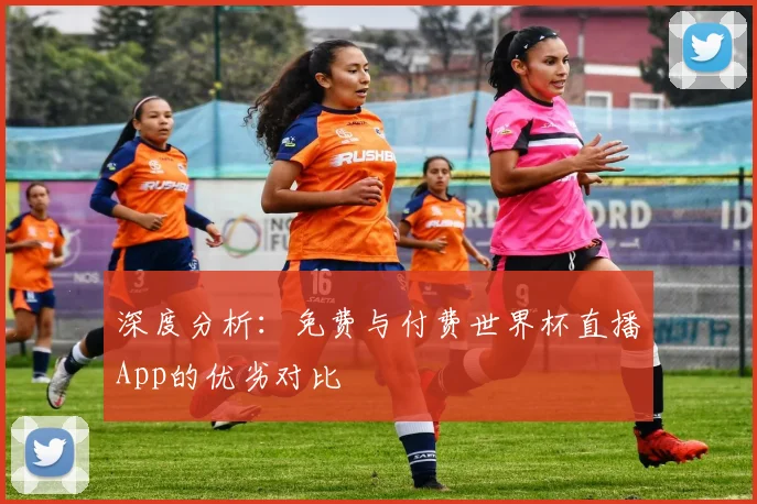 深度分析：免费与付费世界杯直播App的优劣对比