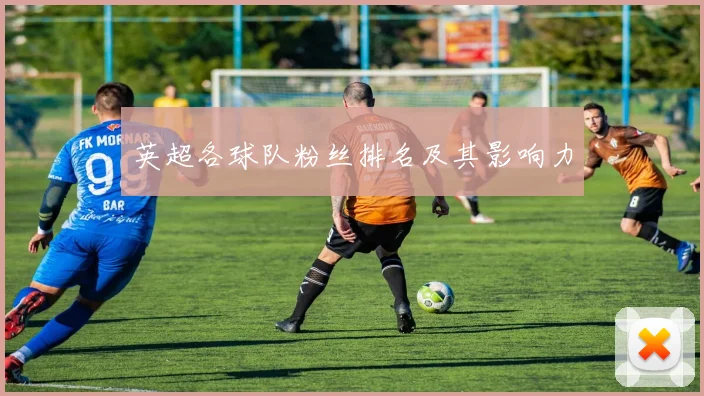 英超各球队粉丝排名及其影响力