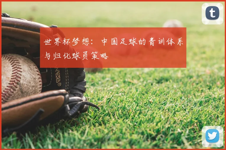 世界杯梦想：中国足球的青训体系与归化球员策略
