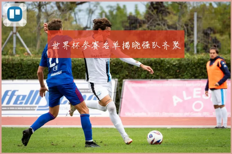 世界杯参赛名单揭晓强队齐聚