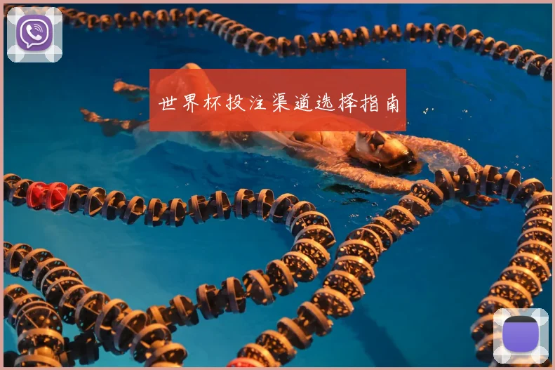 世界杯投注渠道选择指南