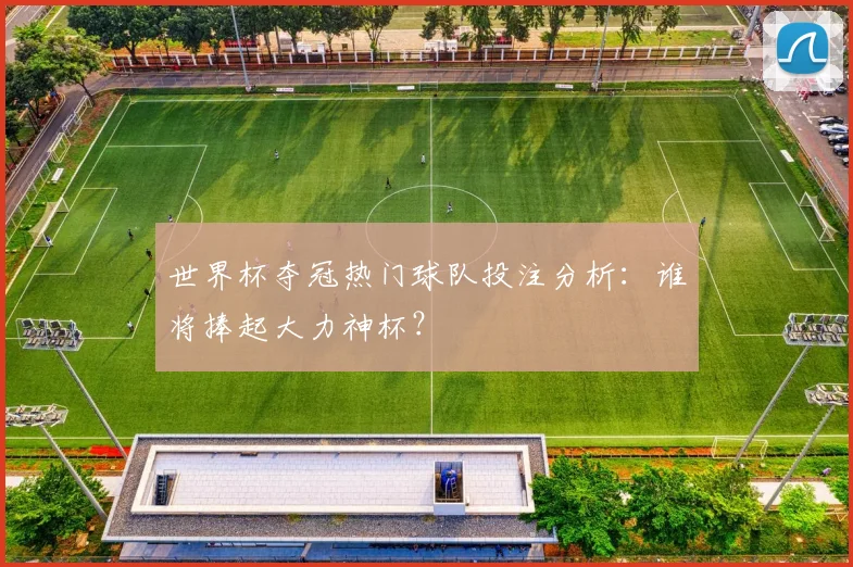 世界杯夺冠热门球队投注分析：谁将捧起大力神杯？