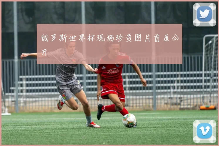 俄罗斯世界杯现场珍贵图片首度公开