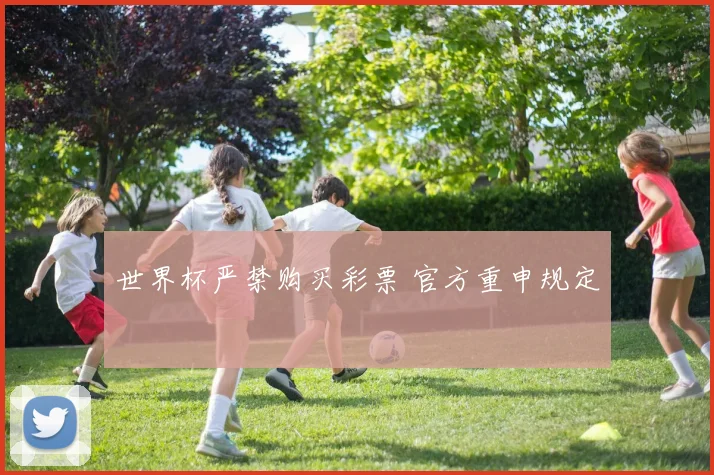 世界杯严禁购买彩票 官方重申规定