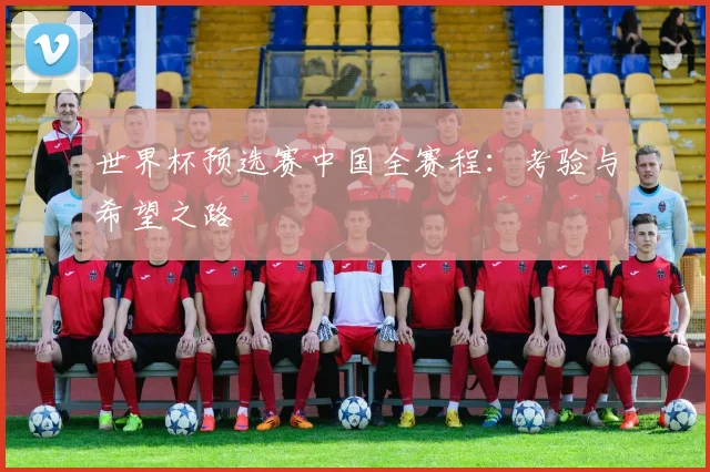 世界杯预选赛中国全赛程：考验与希望之路