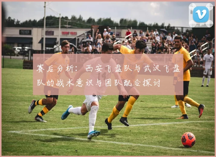 赛后分析：西安飞盘队与武汉飞盘队的战术意识与团队配合探讨