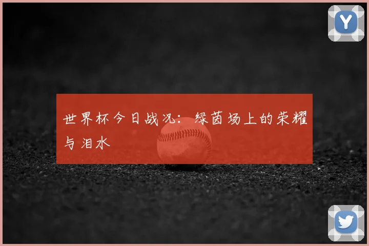 世界杯今日战况：绿茵场上的荣耀与泪水