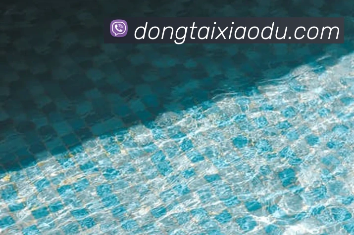 线上买球服务体系